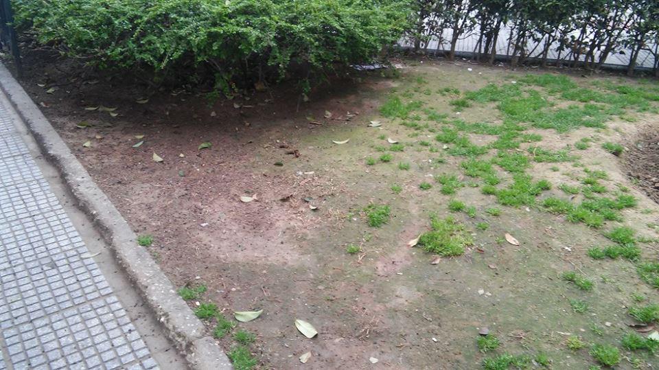 17309359_1464472520281752_1203087706819534636_n