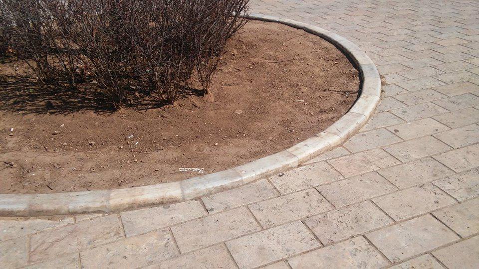 17309867_1463459710383033_4544598230414492339_n