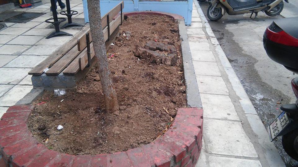 17424594_1464474823614855_4061578089072018707_n