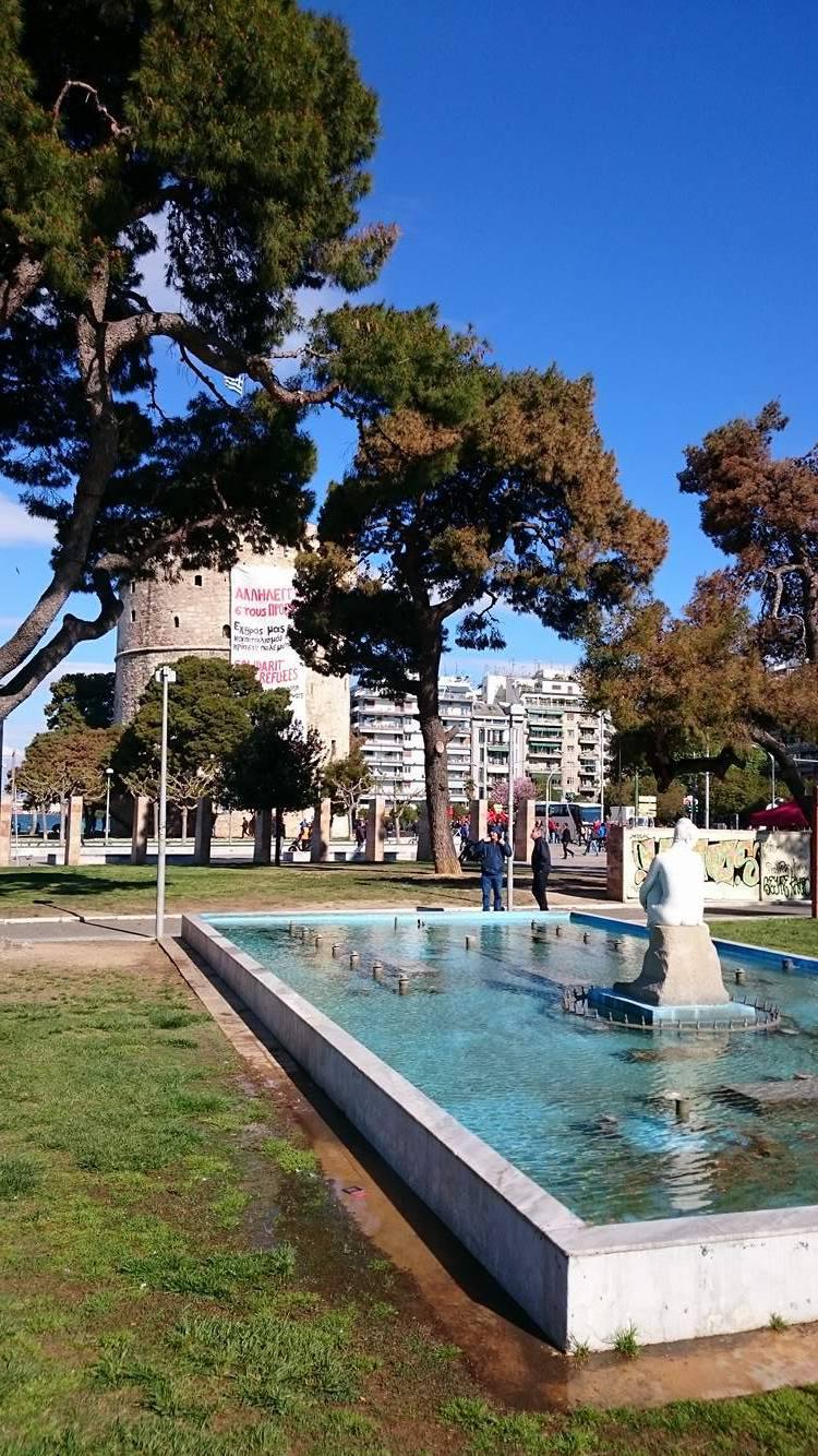 17837598_1501690549873038_16517118_o