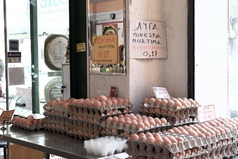 17909549_1030915997009887_1068153143_n