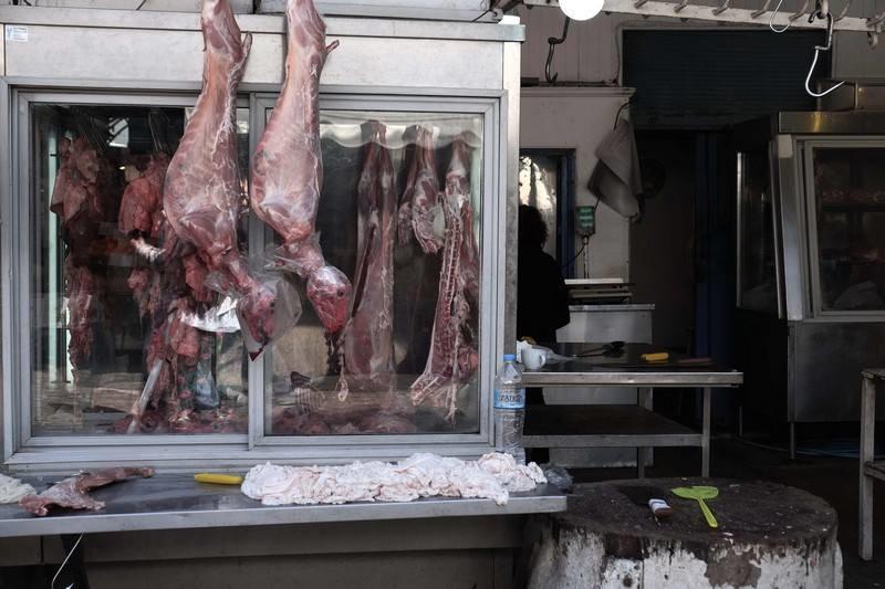 17911147_1030915807009906_391092997_n