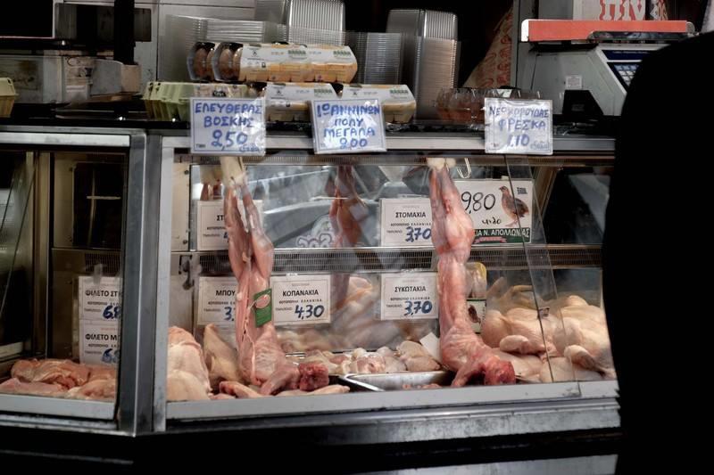 17918549_1030915990343221_652235345_n