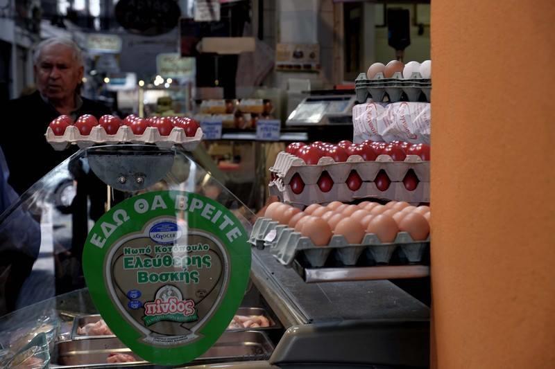 17918847_1030915993676554_1768513988_n