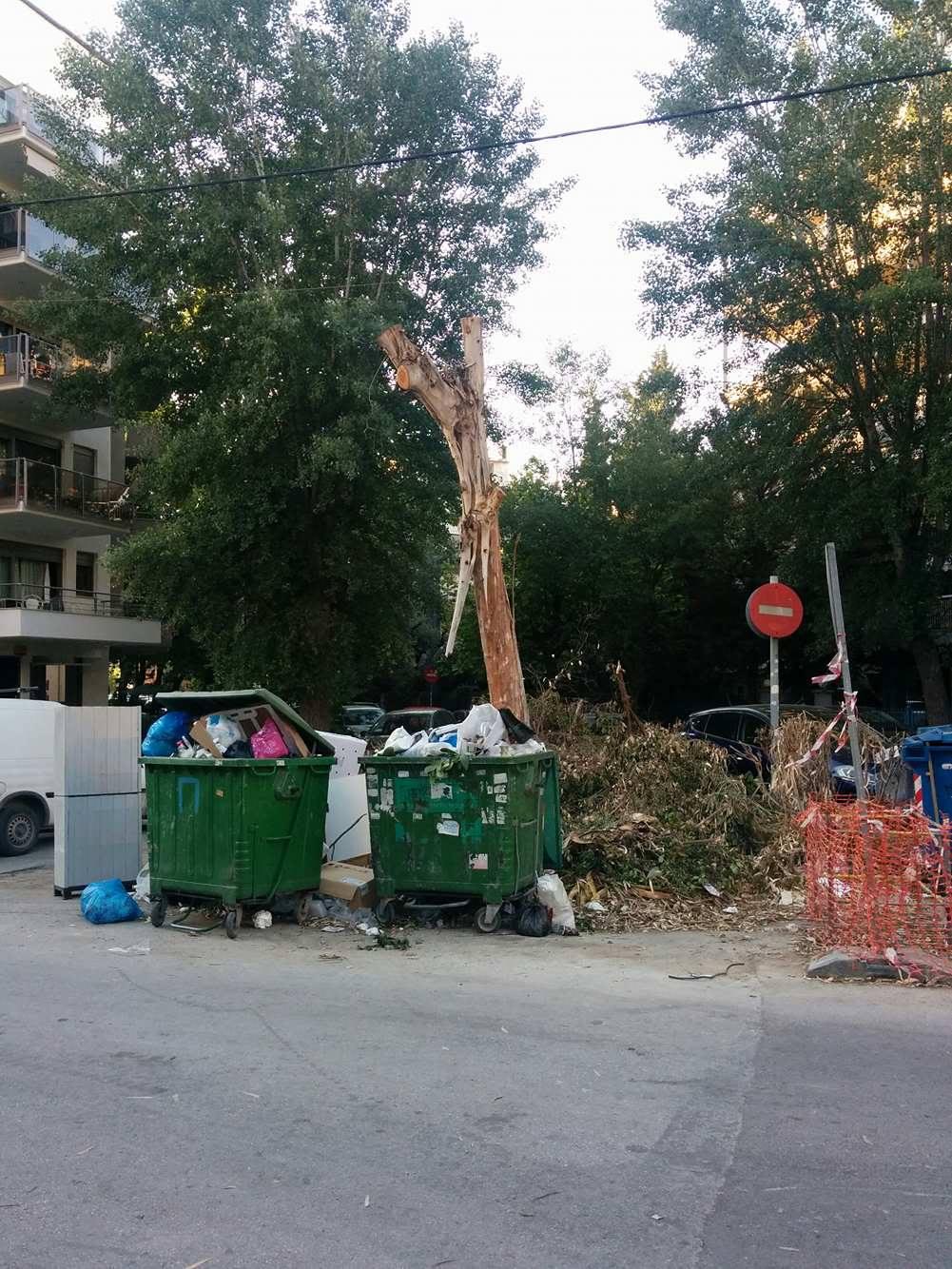 18426388_10211339350392247_71266061_o