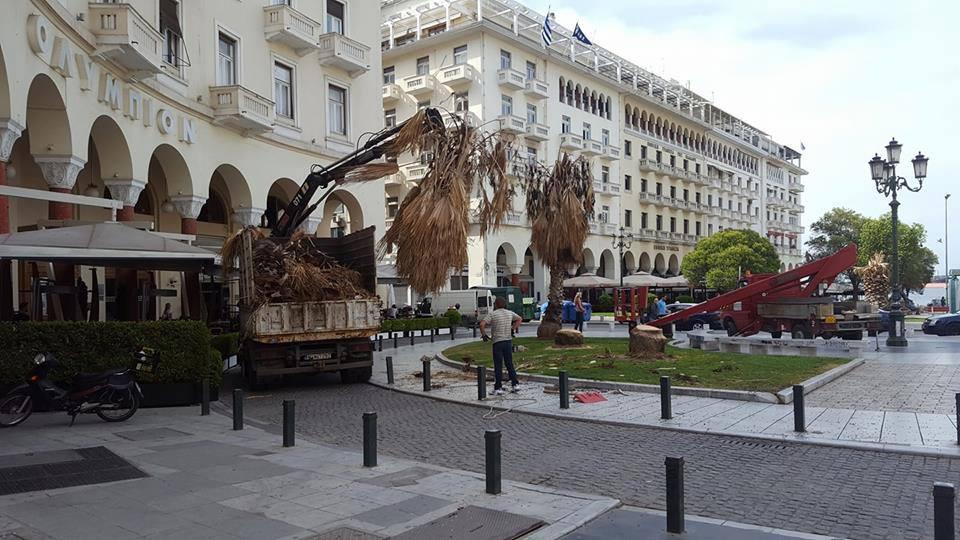 18516156_121223891783404_1941125492_n