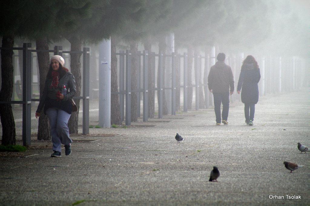 19-dsc001230.jpg 19-dsc001230.jpg