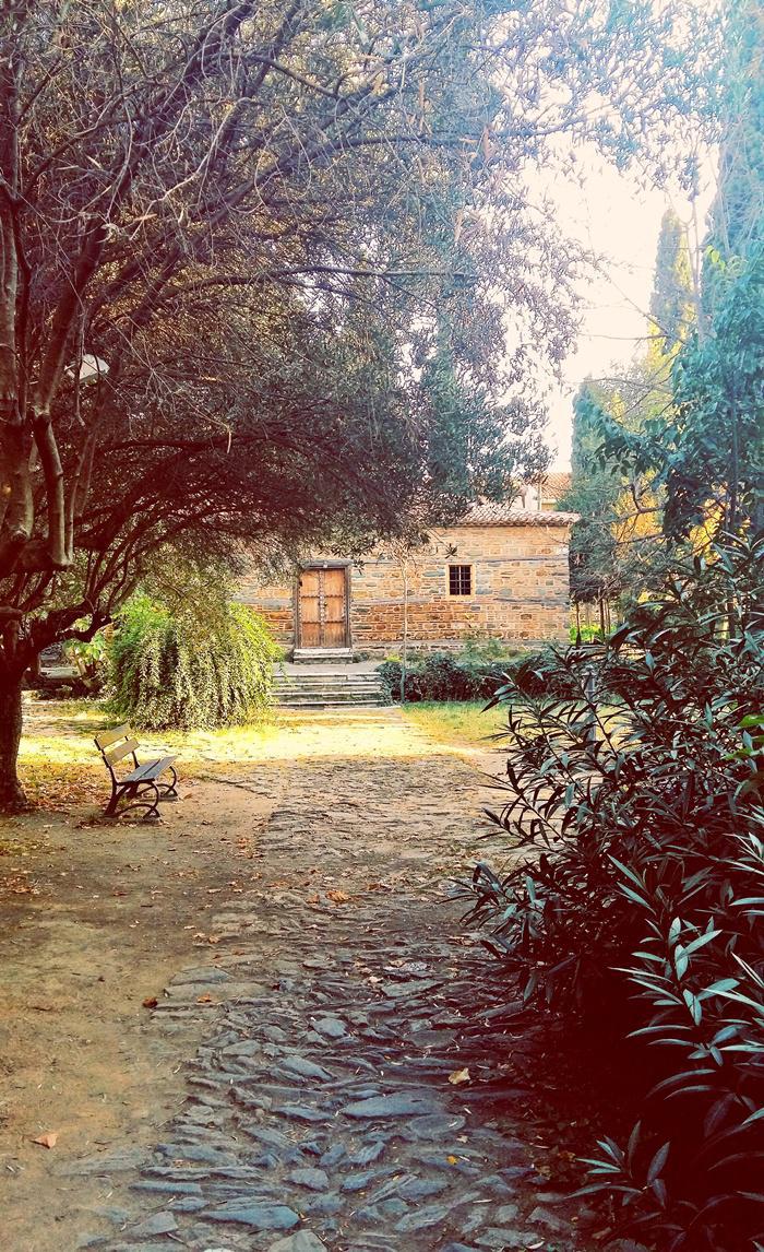 Processed with VSCO with g3 preset