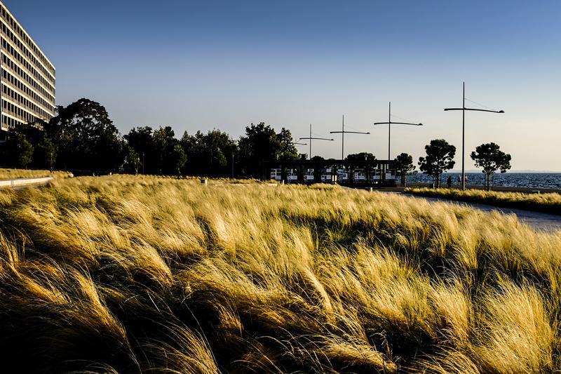 20150902-_DSF0375-Edit