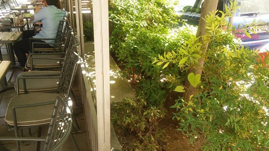 2016 6 ˆŽ“Œ 16 ’€„…Ž‰€‡ˆ‘‹€’€ €‚‰€‰ˆ€ €Š €’—Œ lOCAL (5)