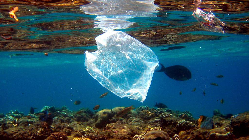 Αποκαλυπτικά στοιχεία της Greenpeace για την πλαστική ρύπανση στις ...