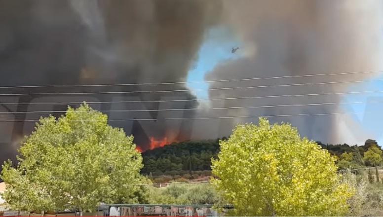 στις-αυλές-των-σπιτιών-η-φωτιά-στη-ζάκυ-224334