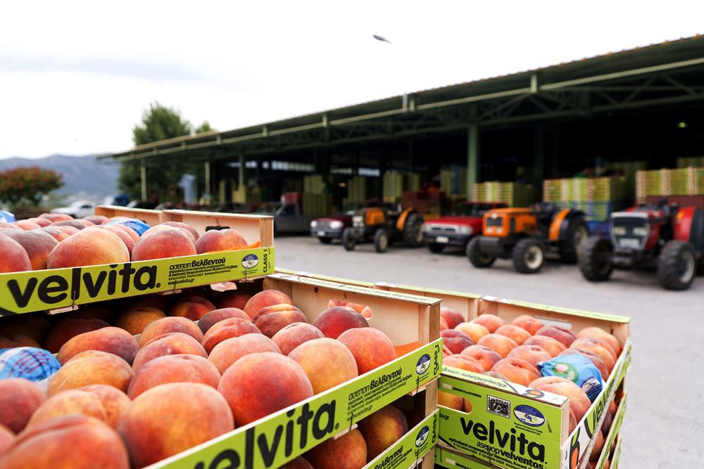 η-lidl-φέρνει-κάθε-μέρα-στο-τραπέζι-κάθε-οι-229579