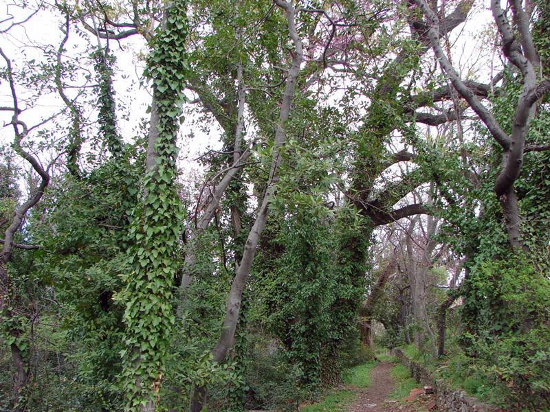 Που χρονολογείται από προβλήματα χήρος