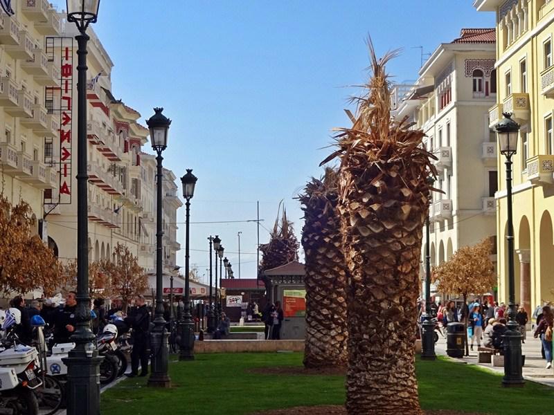 κόκκινο-σκαθάρι-που-τρώει-φοίνικες-268874