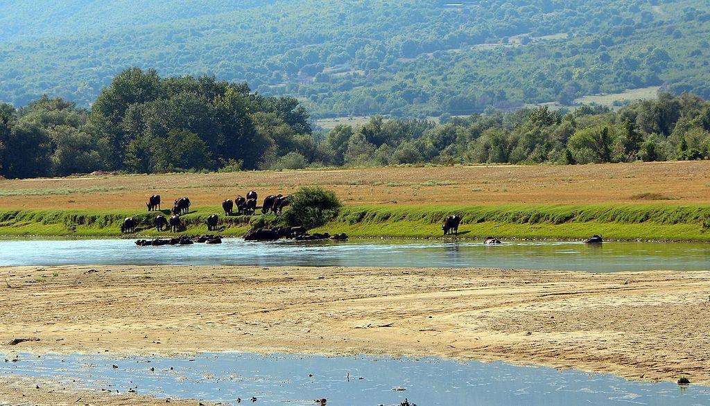 ξεκινά-το-έργο-αντιπλημμυρικής-θωράκ-266339