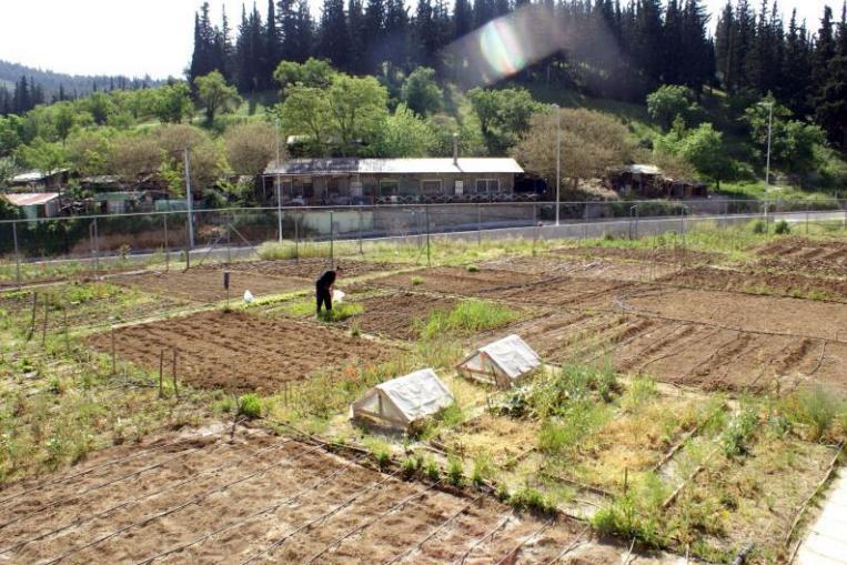 ξεκινούν-οι-αιτήσεις-για-την-δωρεάν-χρ-306025