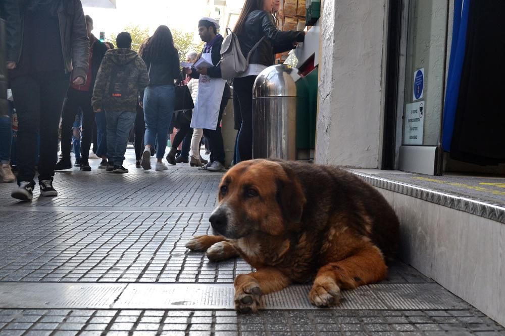 τι-αποφασίστηκε-στο-εφετείο-θεσσαλον-314060