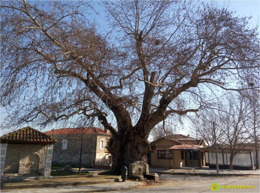 βρέθηκε-πτώμα-άνδρα-σε-πλήρη-αποσύνθε-331708