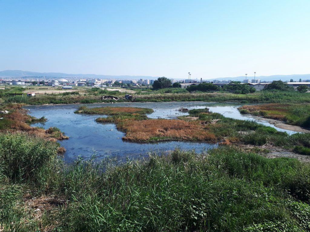 ξεκινούν-έργα-στο-δυτικό-θαλάσσιο-μέτ-340502