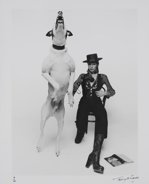 εφαρμογή-σε-κινητό-η-έκθεση-david-bowie-is-381797
