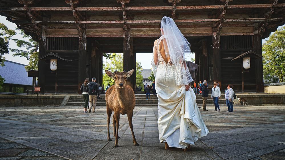 οι-5-bridal-τάσεις-για-το-2019-είναι-εδώ-389766