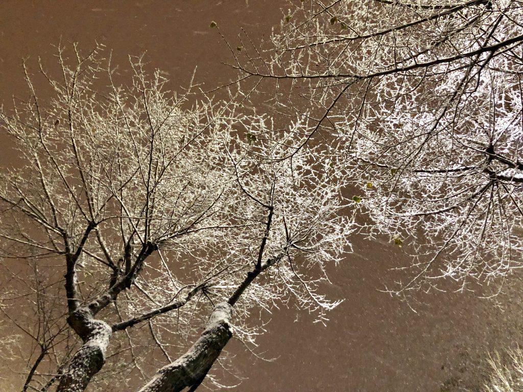 όσα-ξέρουμε-για-την-αυριανή-μέρα-στη-βό-397668