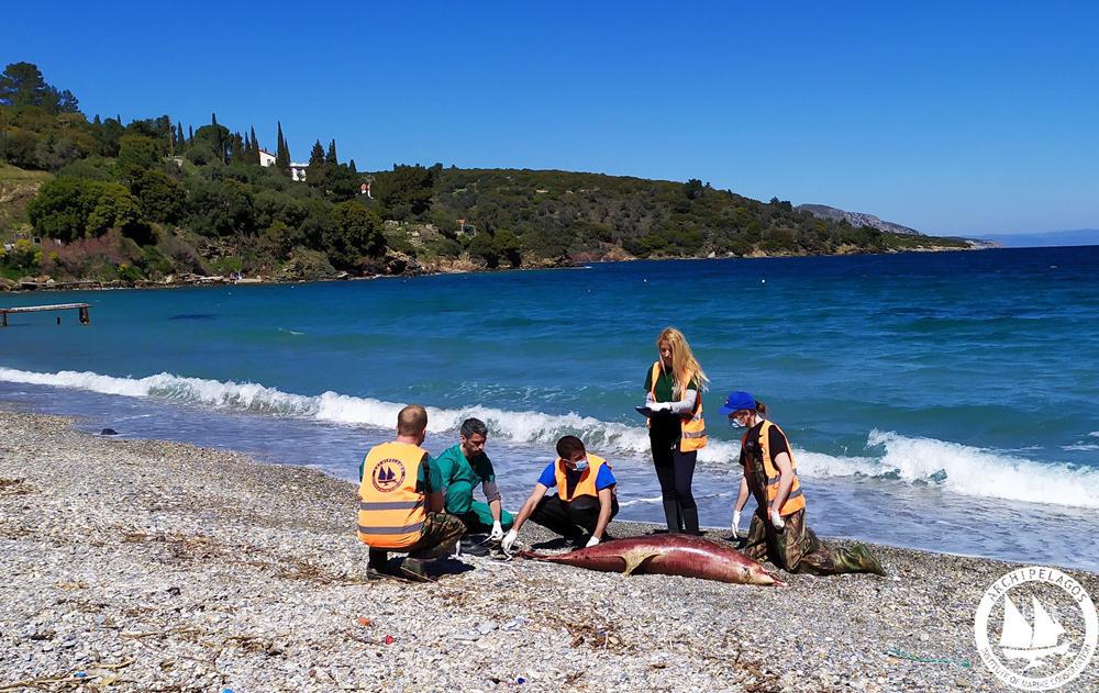 τι-ευθύνεται-για-την-ανησυχητική-αύξη-432596