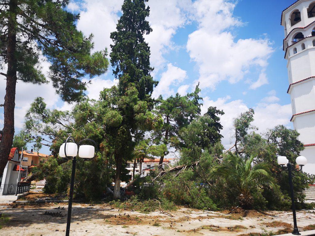 ο-καθ-ε-λέκκας-εξηγεί-τα-χαρακτηριστικ-465142