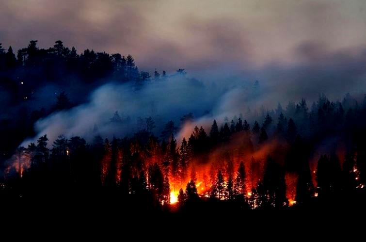 γιατί-οι-δασικές-πυρκαγιές-στη-σιβηρί-471159