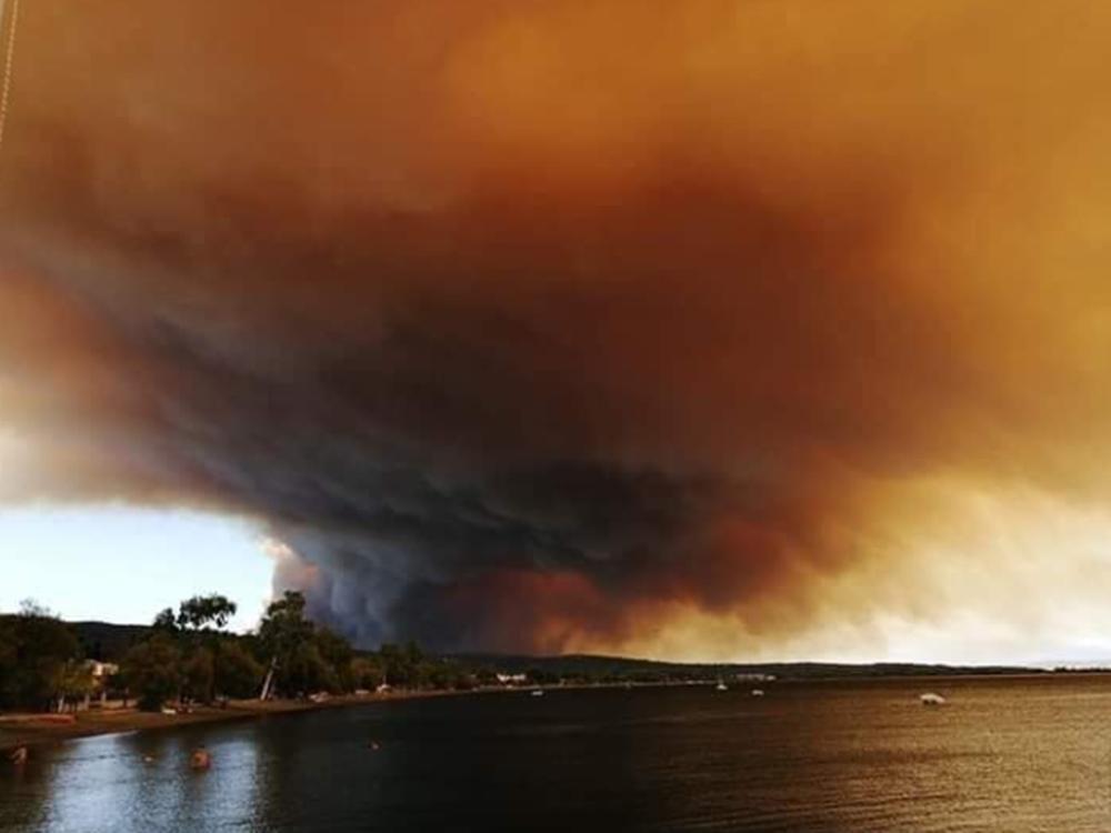 πυρκαγιά-στην-εύβοια-ισχυρές-δυνάμει-476309