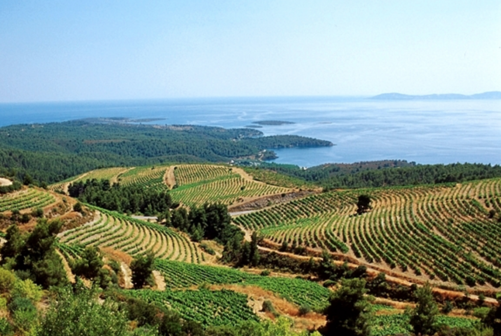 απαγορεύεται-η-κυκλοφορία-μέχρι-την-τ-475379