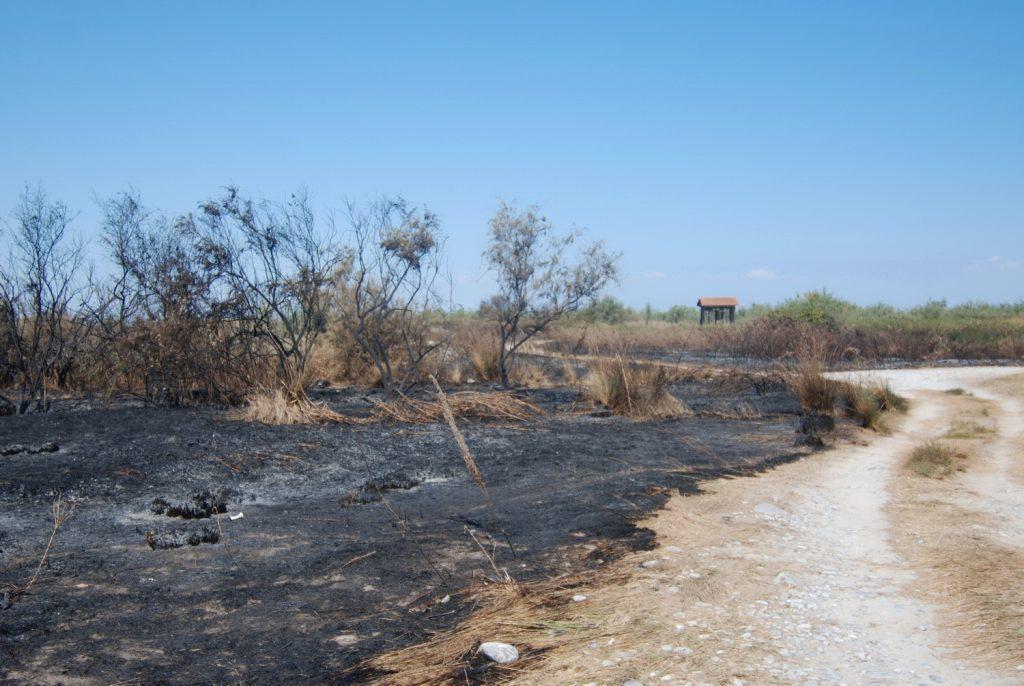 θεσσαλονίκη-καταστροφές-από-πυρκαγ-486736