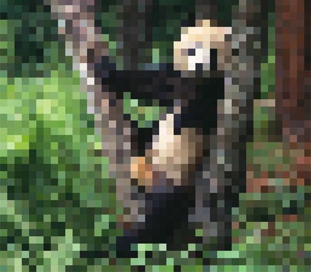τα-pixel-σε-αυτές-τις-εικόνες-ζώων-αντιπροσ-497126