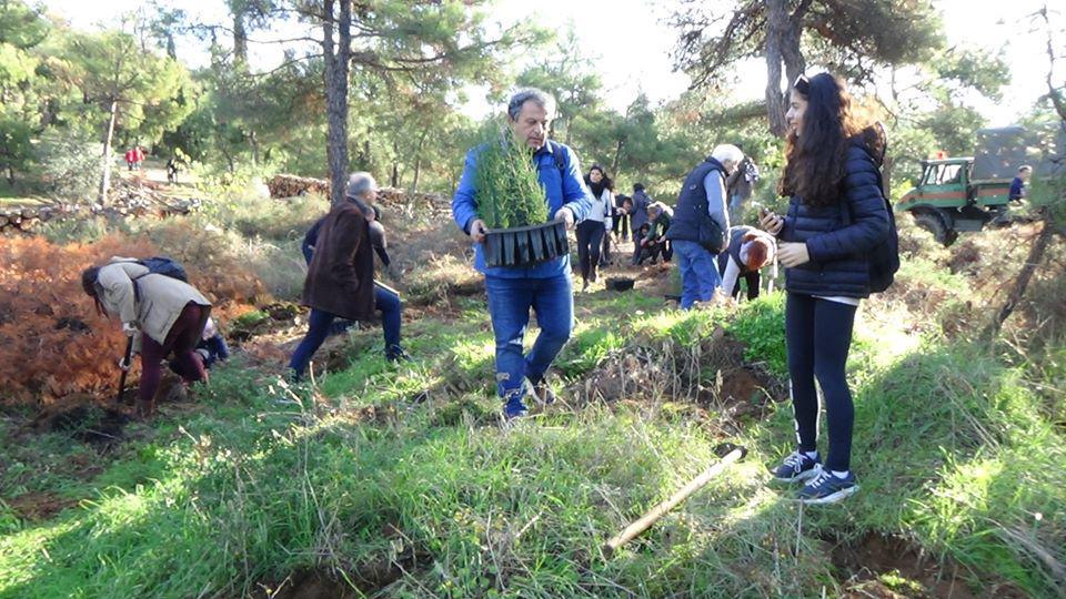 βιντεο-εικονεσ-μαζική-δεντροφύτευσ-524934