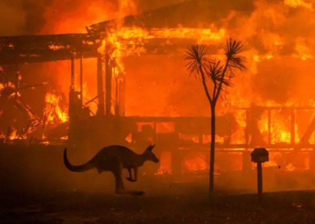 αυστραλία-οι-πυρκαγιές-κατέστρεψαν-τ-533763