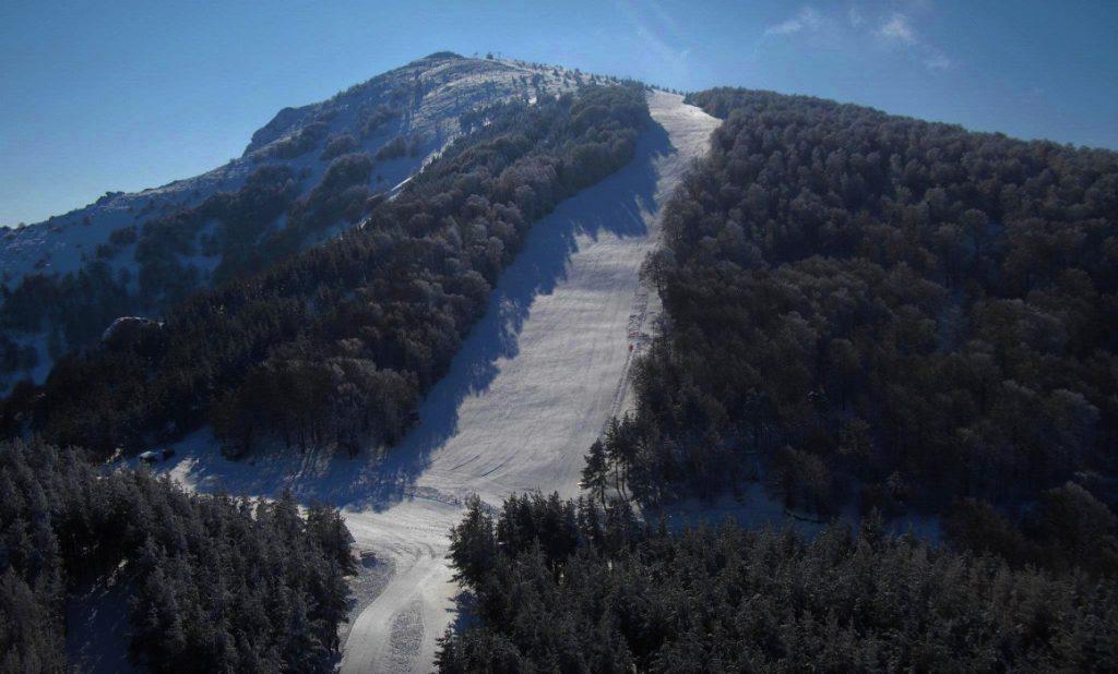 τα-λεφτά-από-το-σέλι-πηγαίνουν-στις-σέ-533623