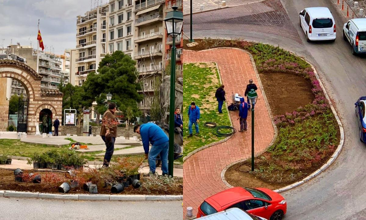 δενδροφύτευση μυρωδικών στην Αγίας Σοφίας