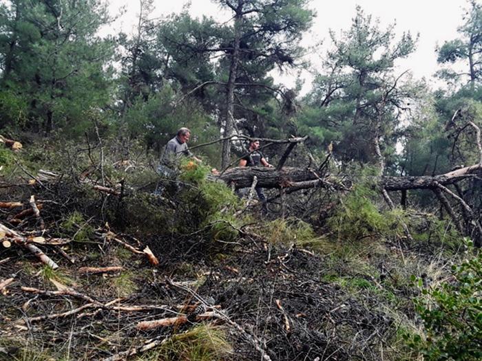 ωραιόκαστρο-σε-εξέλιξη-οι-εργασίες-υλ-549003