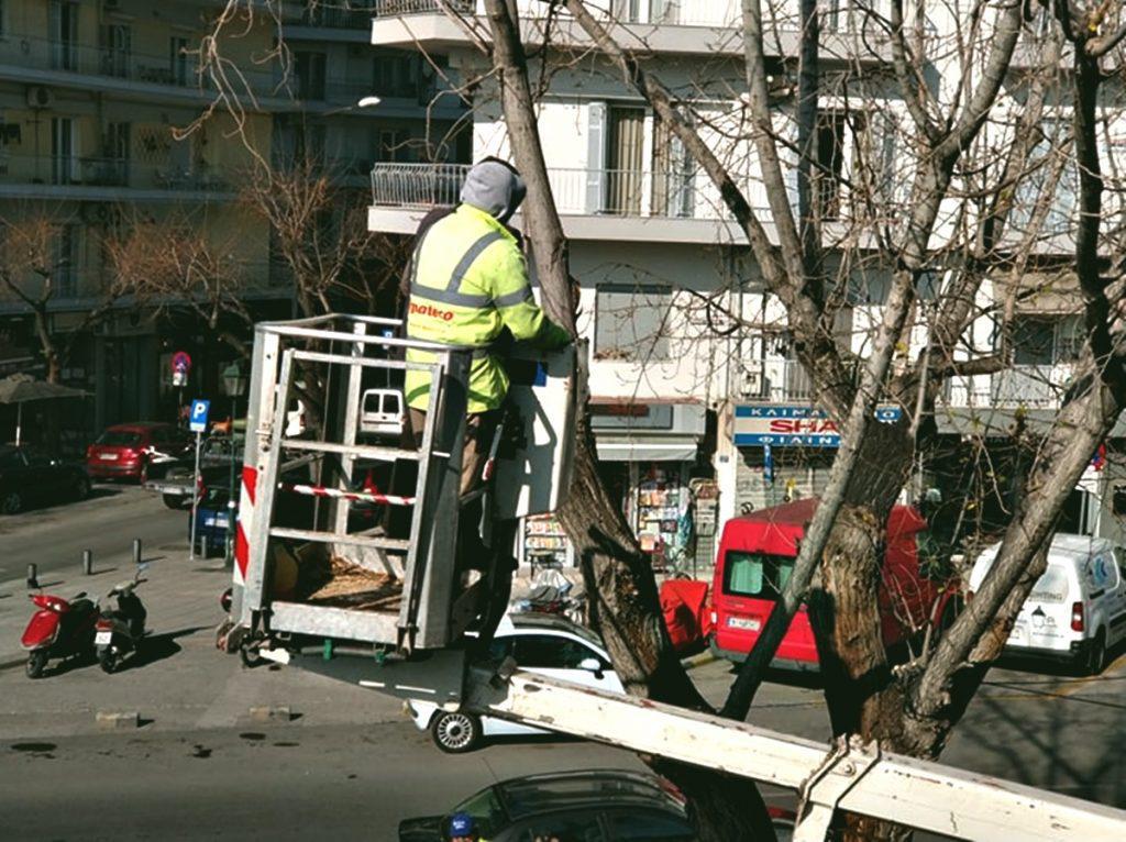 κλάδεμα-δέντρων-επί-της-αγγελάκη-αυτή-561750