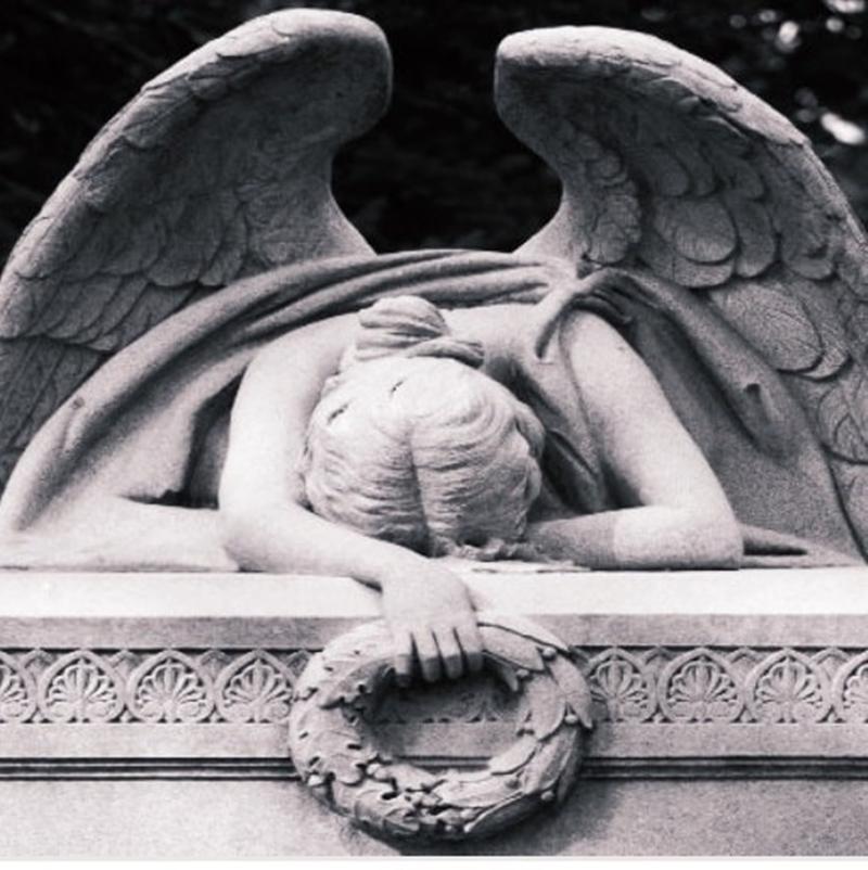 Αριστοτέλεια Δόγκα profil