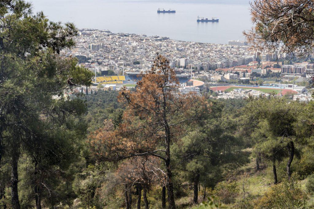 εικονεσ-η-καταστροφή-στο-σέιχ-σου-εξαπ-593963