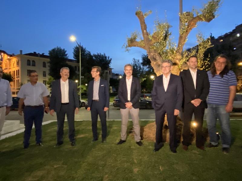 ελαιόδεντρα Αγγελάκη 1