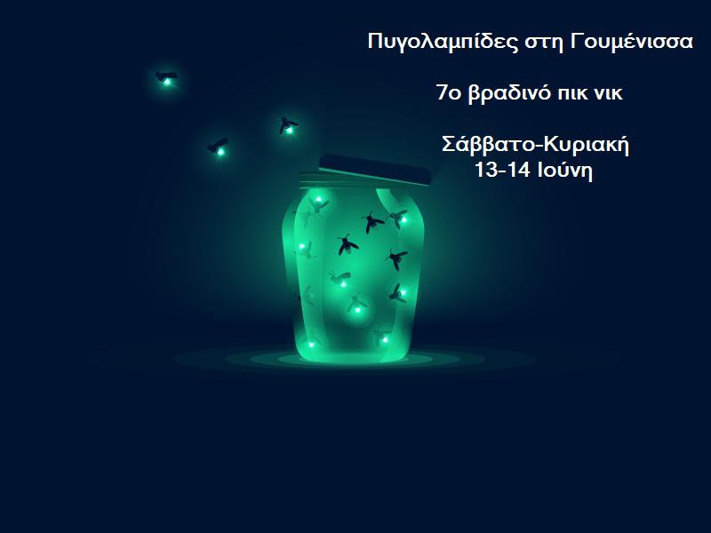 πυγολαμπίδες Γουμένισσα 1