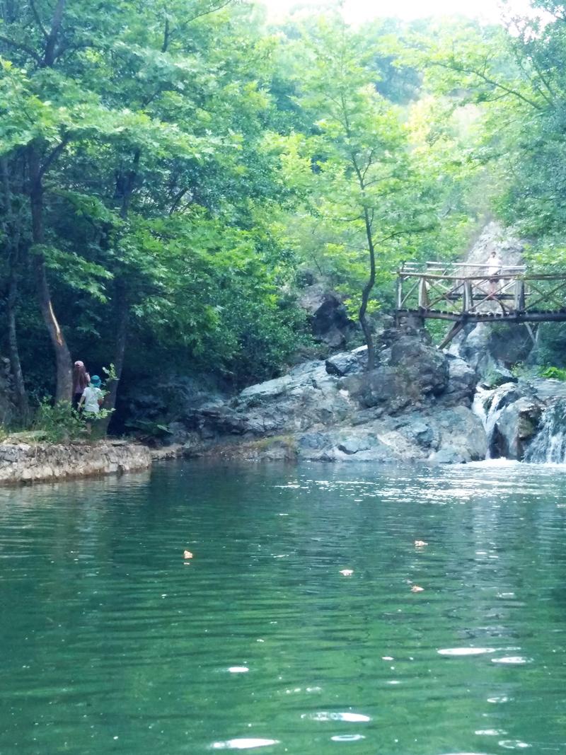 πυγολαμπίδες Γουμένισσα 2