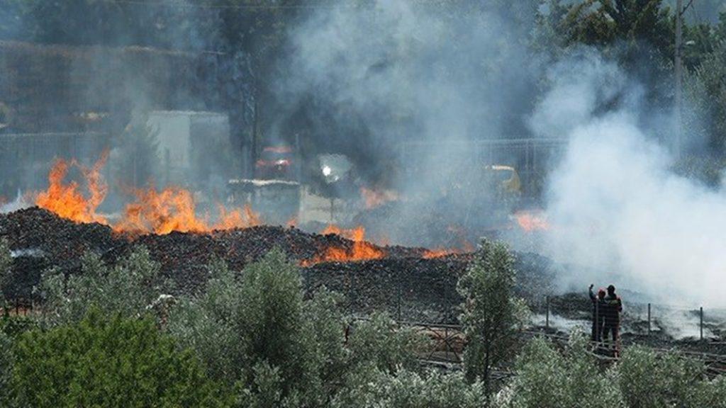 ολονύκτια-μάχη-με-τις-φλόγες-στα-ψαρά-μ-608244