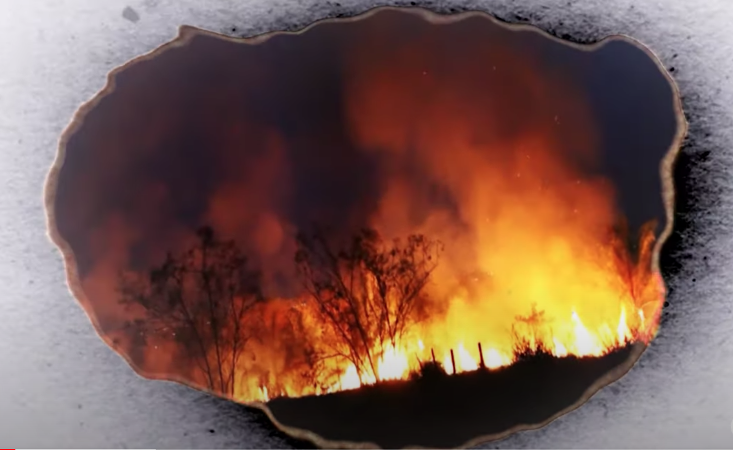 Αμαζόνιος φωτιές 