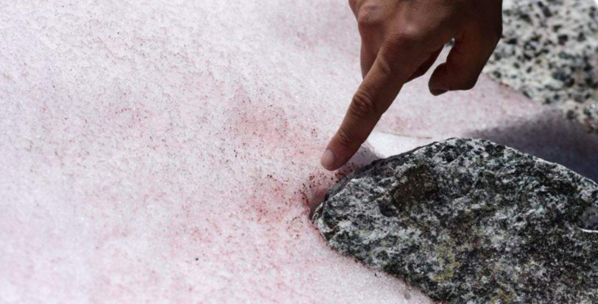 Εικόνες: Ο ροζ πάγος στις ιταλικές Άλπεις δημιουργεί ανησυχία ...
