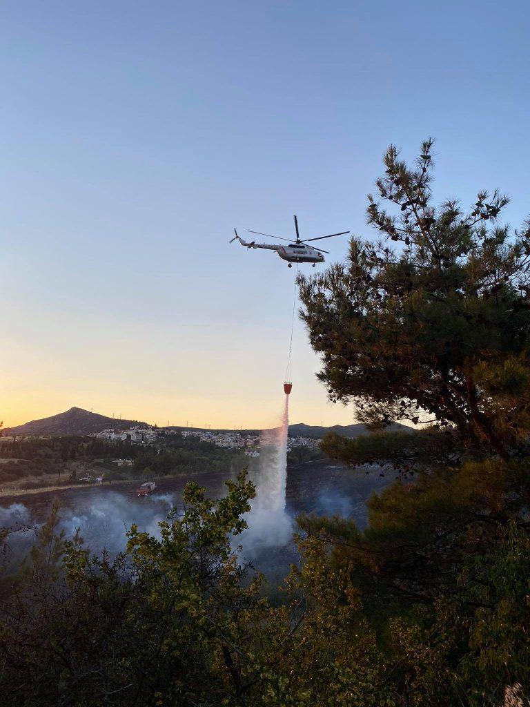 μεγάλη-κινητοποίηση-για-φωτιά-σε-δασι-629294