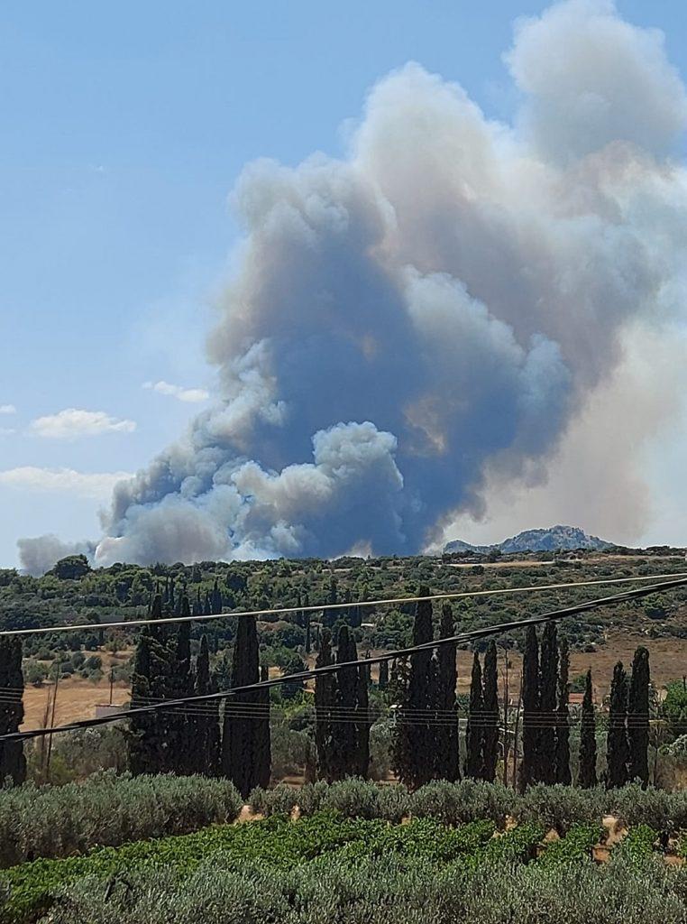 72-δασικές-πυρκαγιές-εκδηλώθηκαν-το-τελ-630007